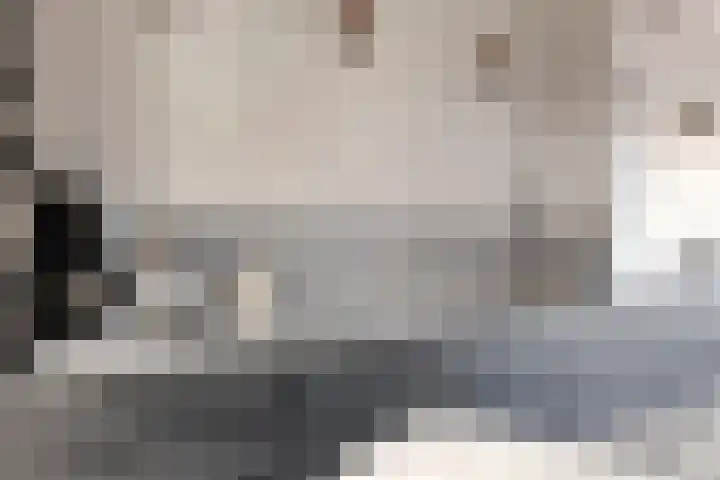 Kastanjelaan 24 Halsteren thumbnail 13