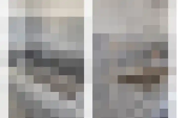 Kastanjelaan 24 Halsteren thumbnail 14