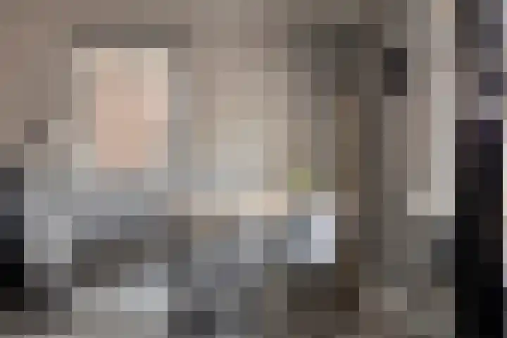 Kastanjelaan 24 Halsteren thumbnail 16
