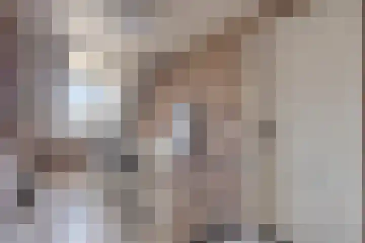 Kastanjelaan 24 Halsteren thumbnail 17