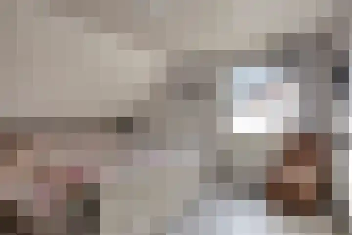 Kastanjelaan 24 Halsteren thumbnail 18