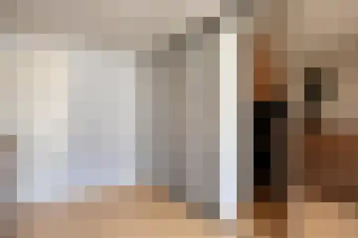 Kastanjelaan 24 Halsteren thumbnail 23