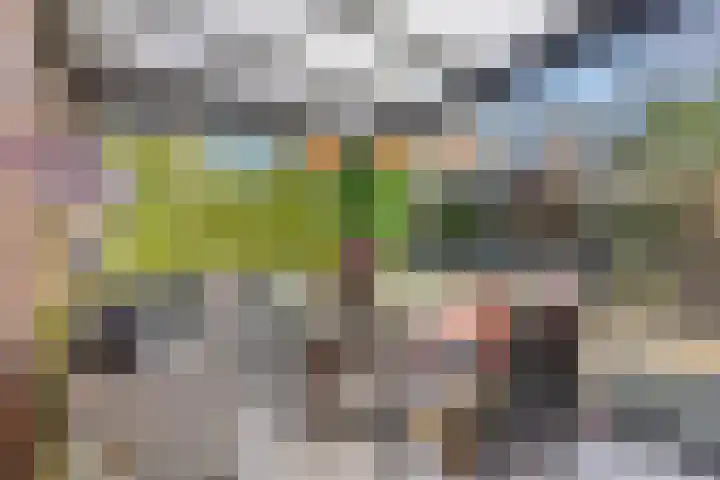Kastanjelaan 24 Halsteren thumbnail 29