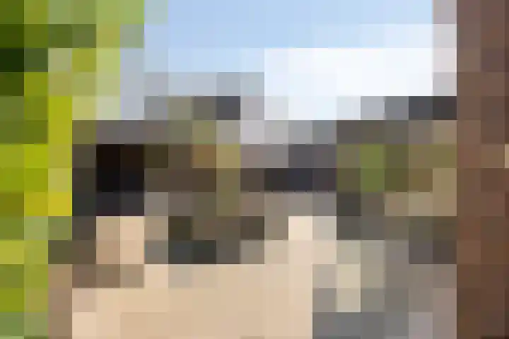 Kastanjelaan 24 Halsteren thumbnail 31