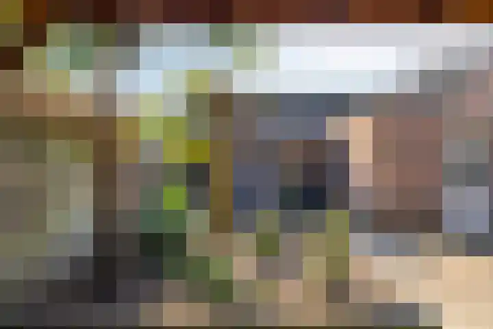 Kastanjelaan 24 Halsteren thumbnail 33