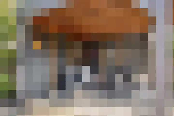 Kastanjelaan 24 Halsteren thumbnail 34