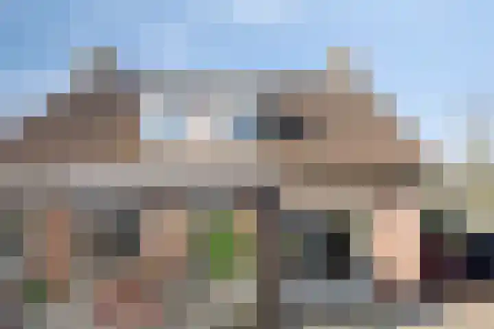 Kastanjelaan 24 Halsteren thumbnail 35