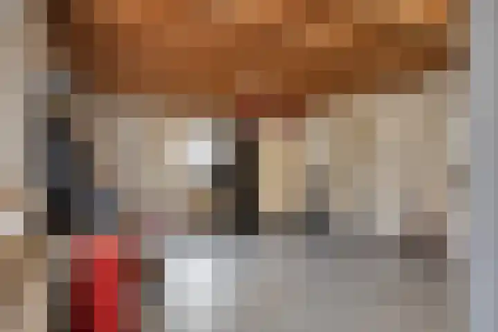 Kastanjelaan 24 Halsteren thumbnail 36