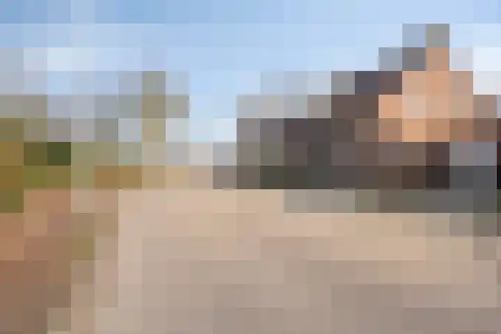 Kastanjelaan 24 Halsteren thumbnail 42