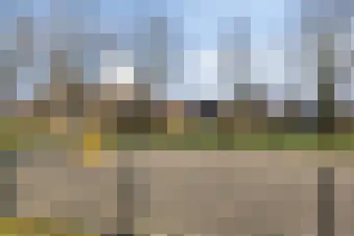 Kastanjelaan 24 Halsteren thumbnail 44