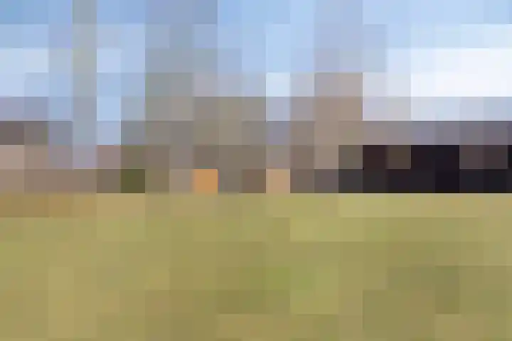 Kastanjelaan 24 Halsteren thumbnail 45