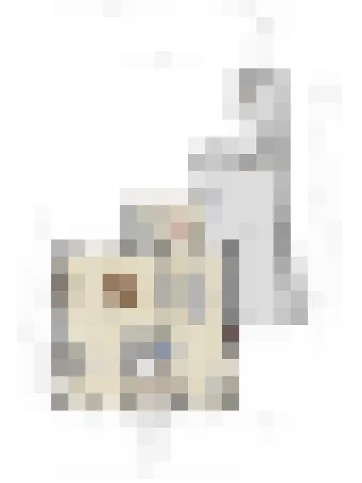 Kastanjelaan 24 Halsteren thumbnail 46