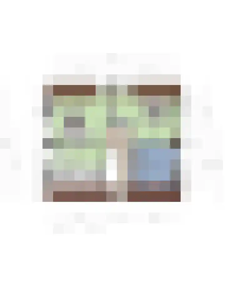 Kastanjelaan 24 Halsteren thumbnail 47
