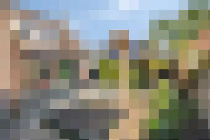 Kastanjelaan 24 Halsteren thumbnail 5