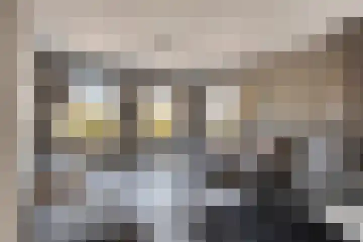 Kastanjelaan 24 Halsteren thumbnail 7