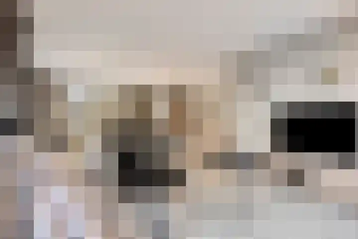 Kastanjelaan 24 Halsteren thumbnail 8