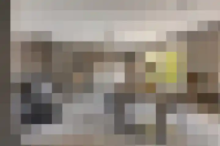 Kastanjelaan 24 Halsteren thumbnail 9