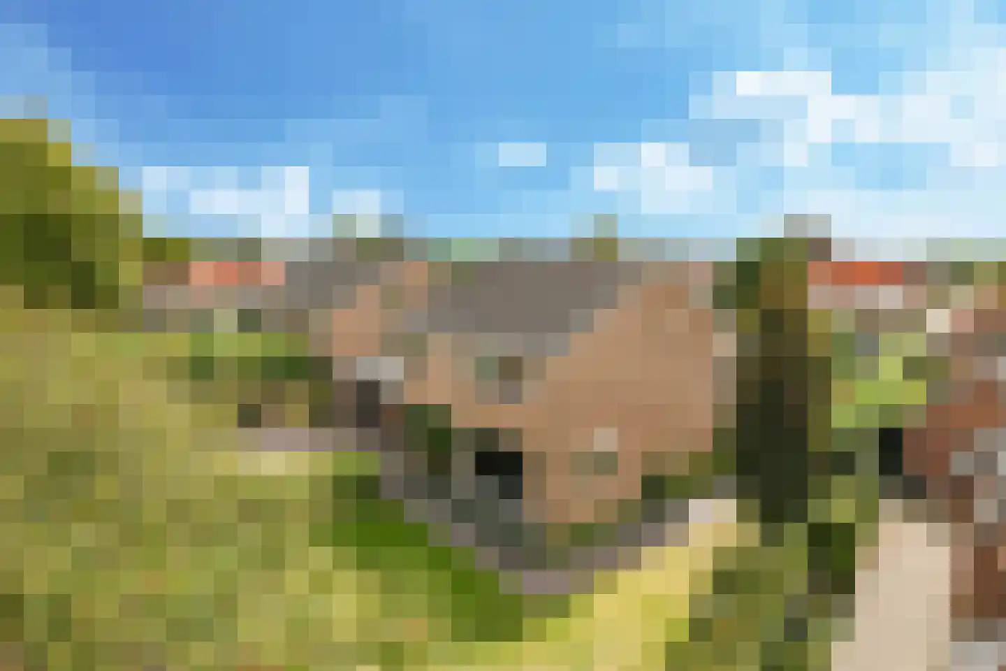 Kastanjelaan 25 b Heteren