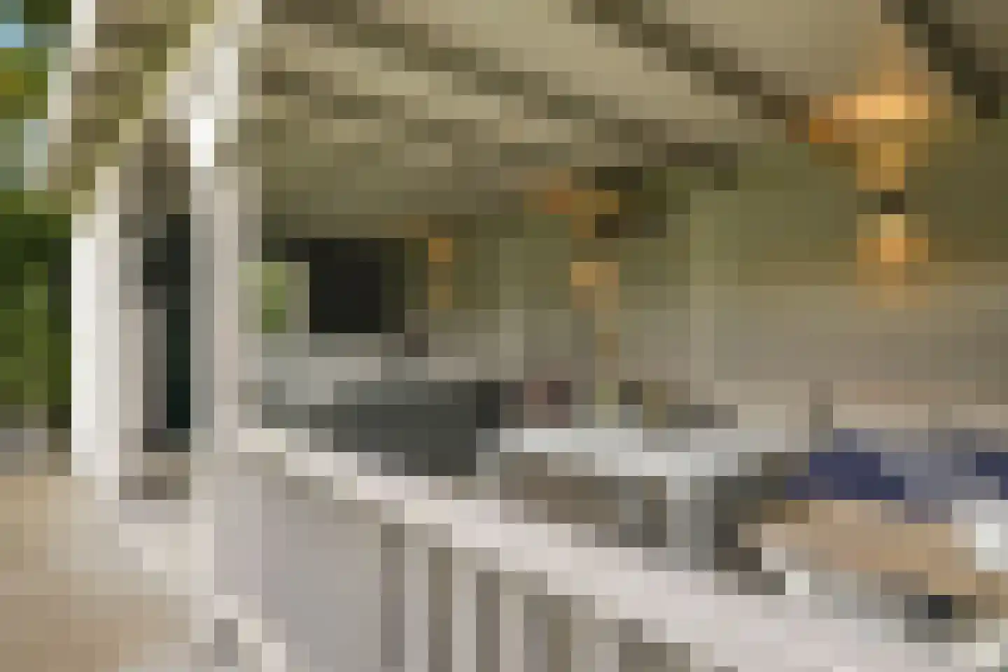 Kastanjelaan 25 b Heteren thumbnail 10