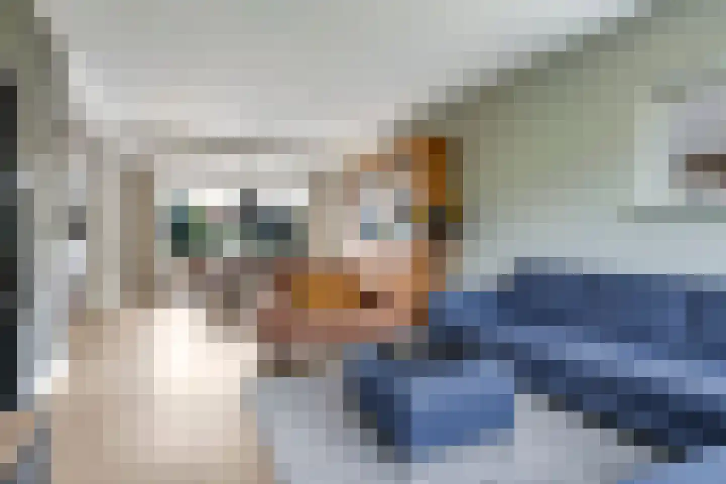 Kastanjelaan 25 b Heteren thumbnail 19