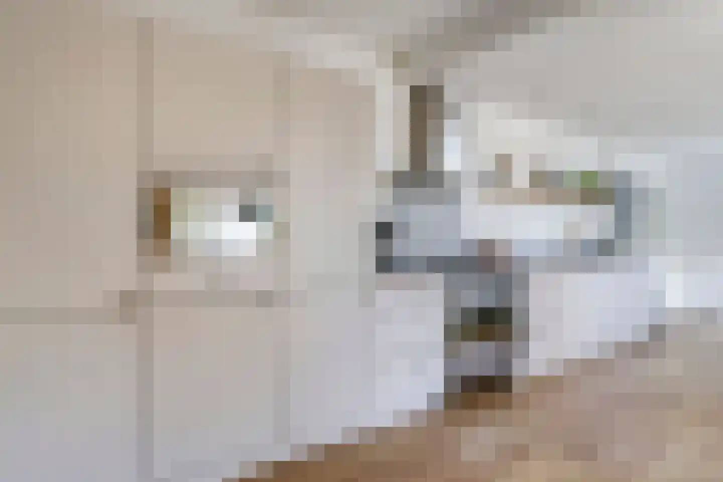 Kastanjelaan 25 b Heteren thumbnail 22