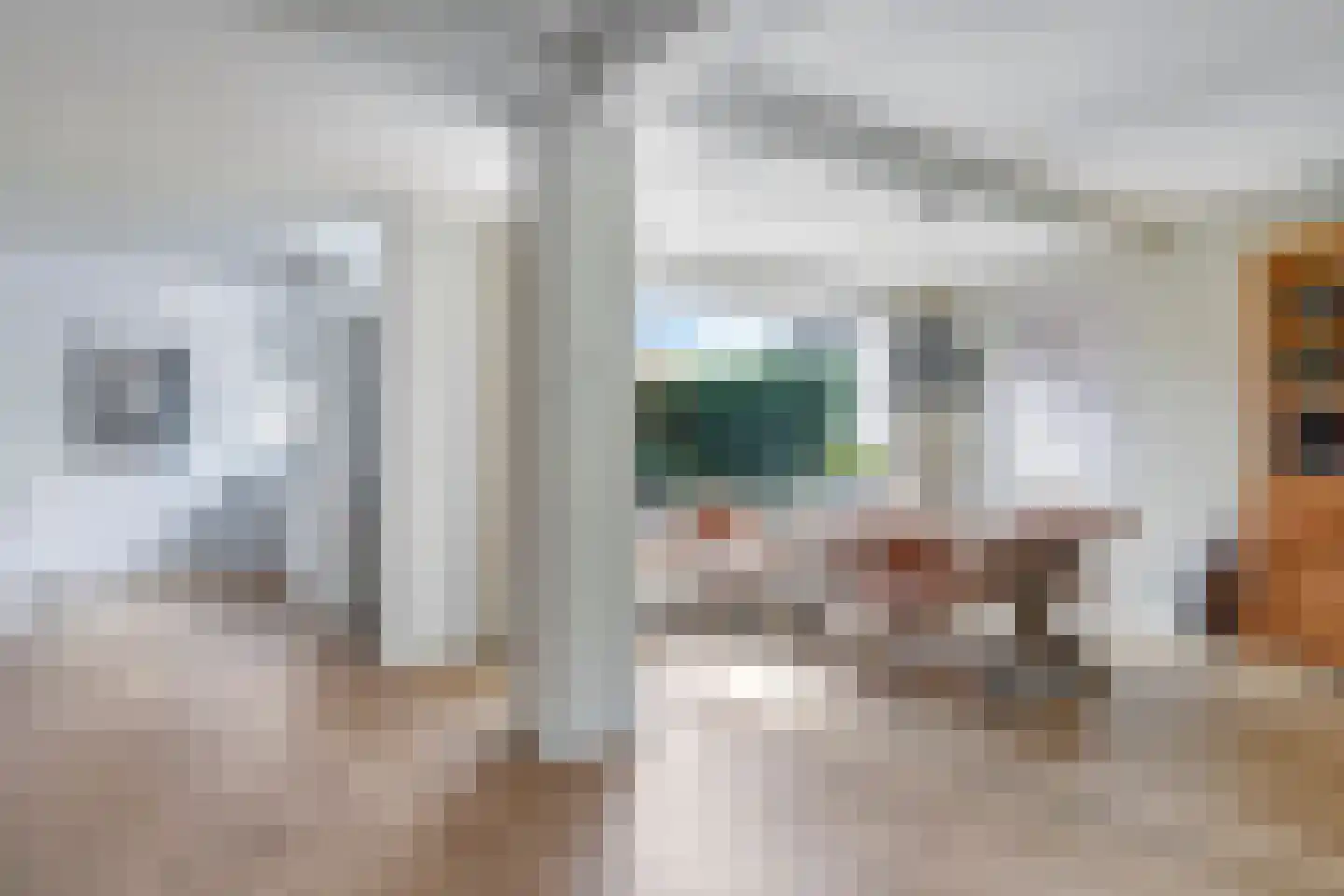 Kastanjelaan 25 b Heteren thumbnail 23