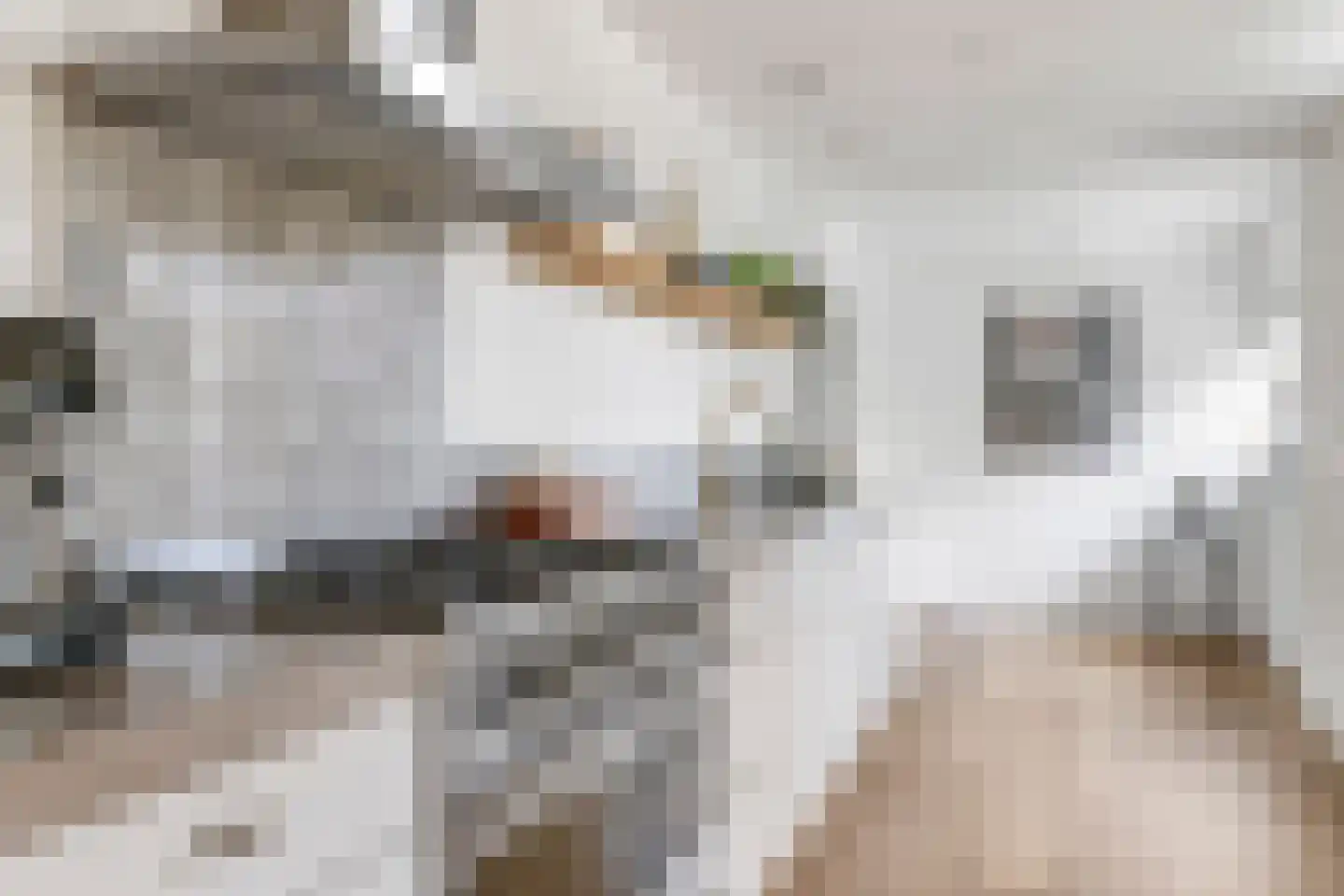 Kastanjelaan 25 b Heteren thumbnail 25