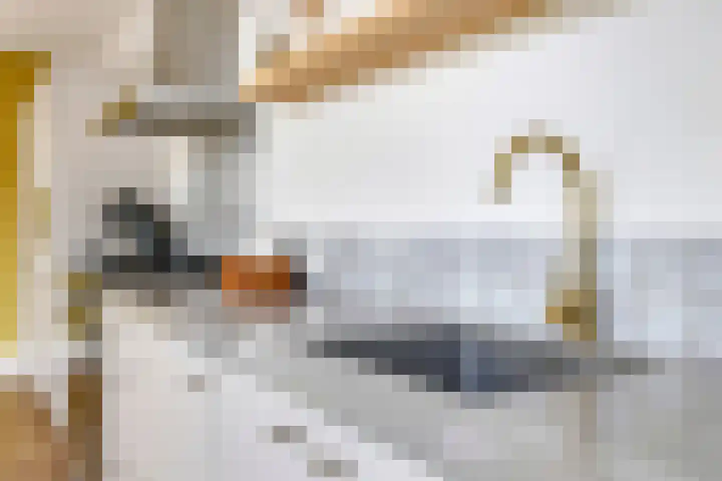 Kastanjelaan 25 b Heteren thumbnail 26