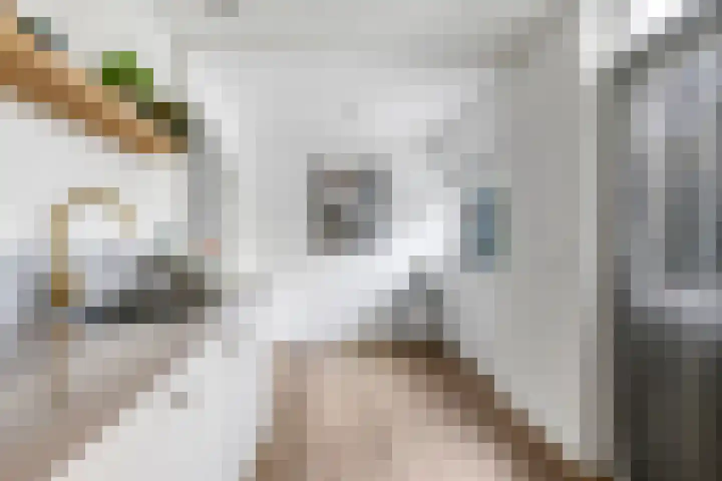 Kastanjelaan 25 b Heteren thumbnail 27