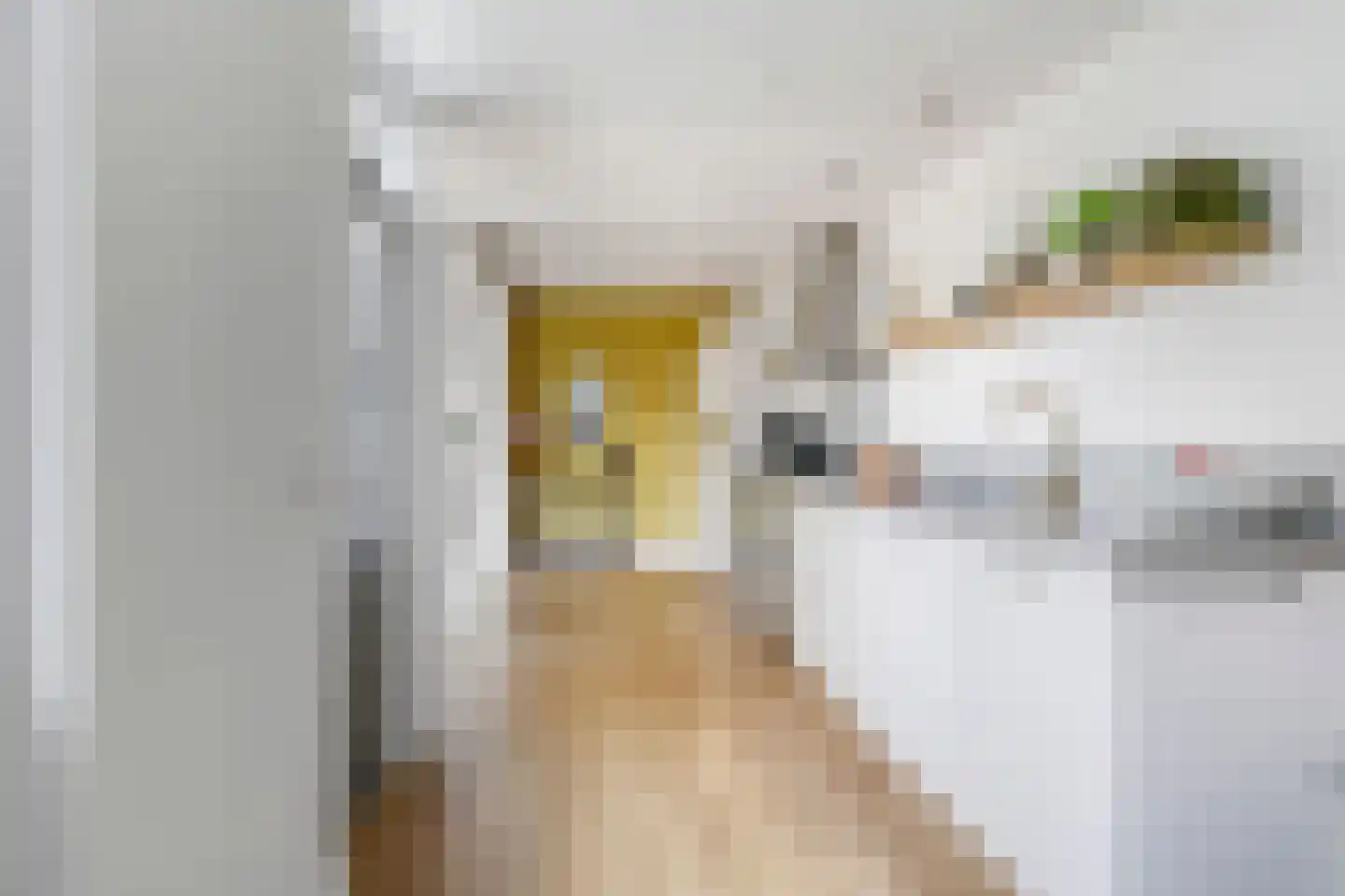 Kastanjelaan 25 b Heteren thumbnail 28