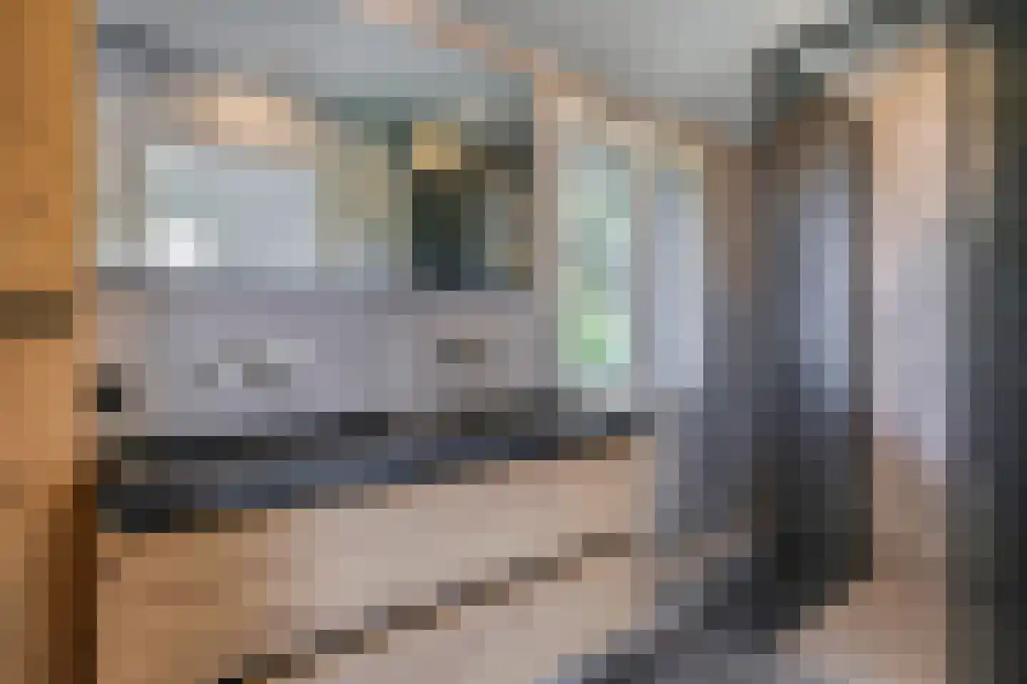 Kastanjelaan 25 b Heteren thumbnail 42