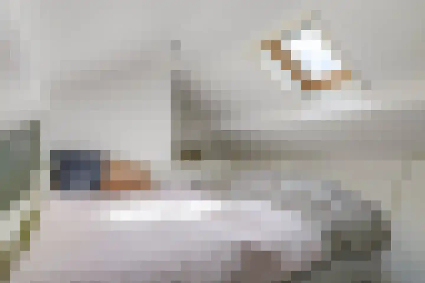 Kastanjelaan 25 b Heteren thumbnail 46