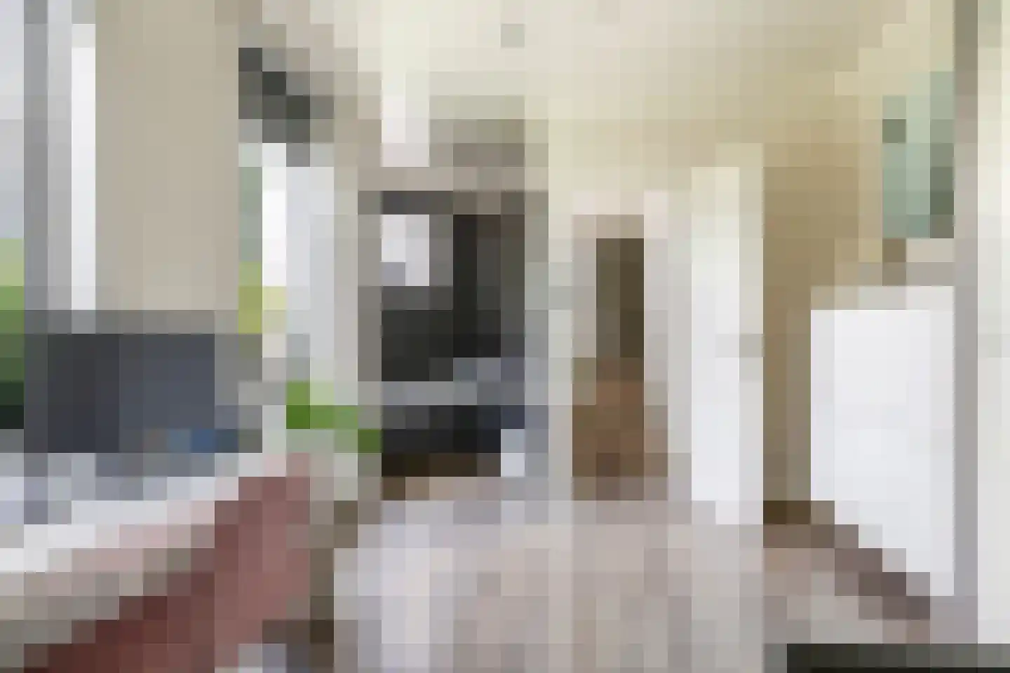Kastanjelaan 25 b Heteren thumbnail 58