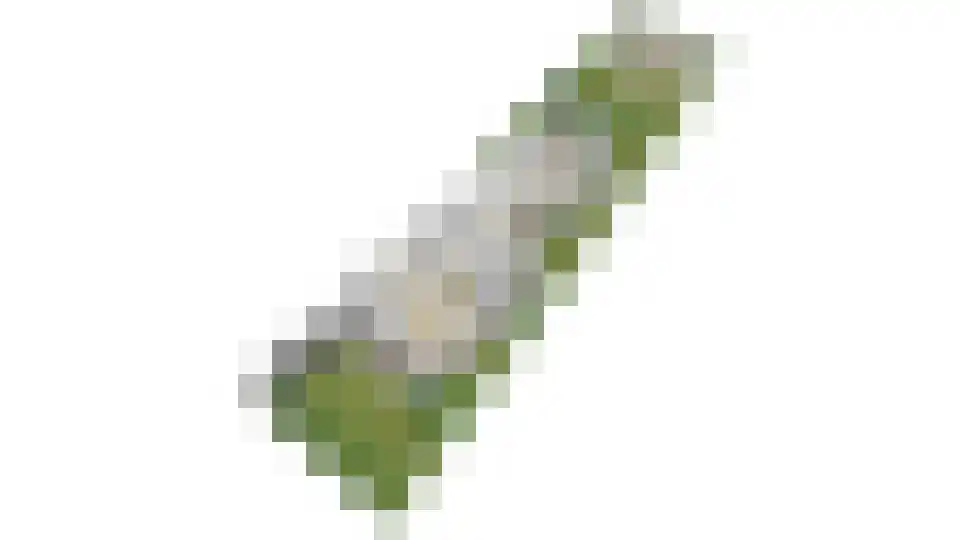 Kastanjelaan 25 b Heteren thumbnail 64