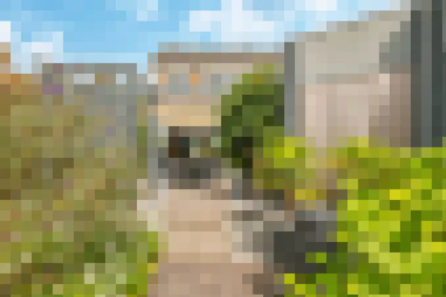 Kastanjelaan 25 b Heteren thumbnail 68