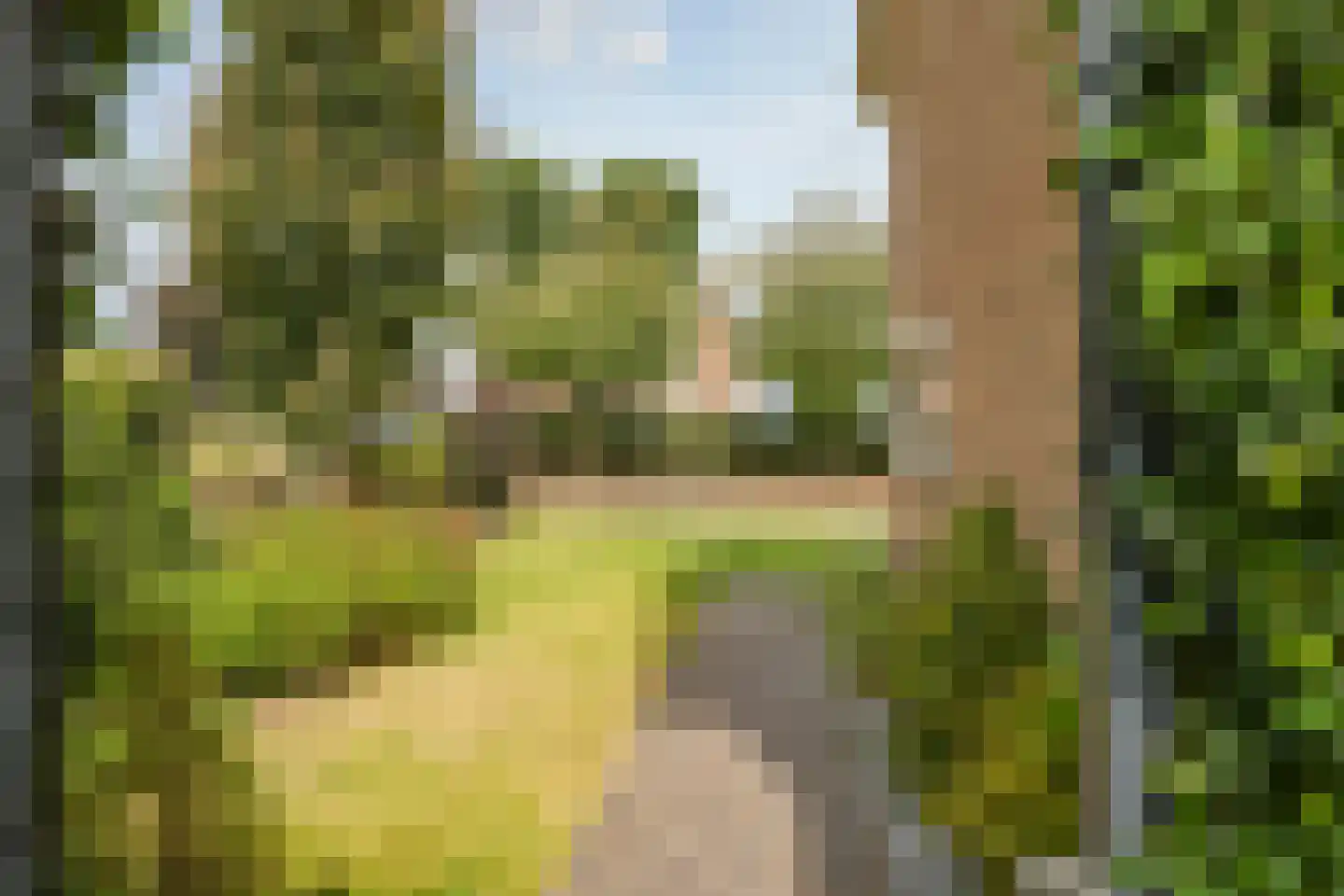Kastanjelaan 25 b Heteren thumbnail 85
