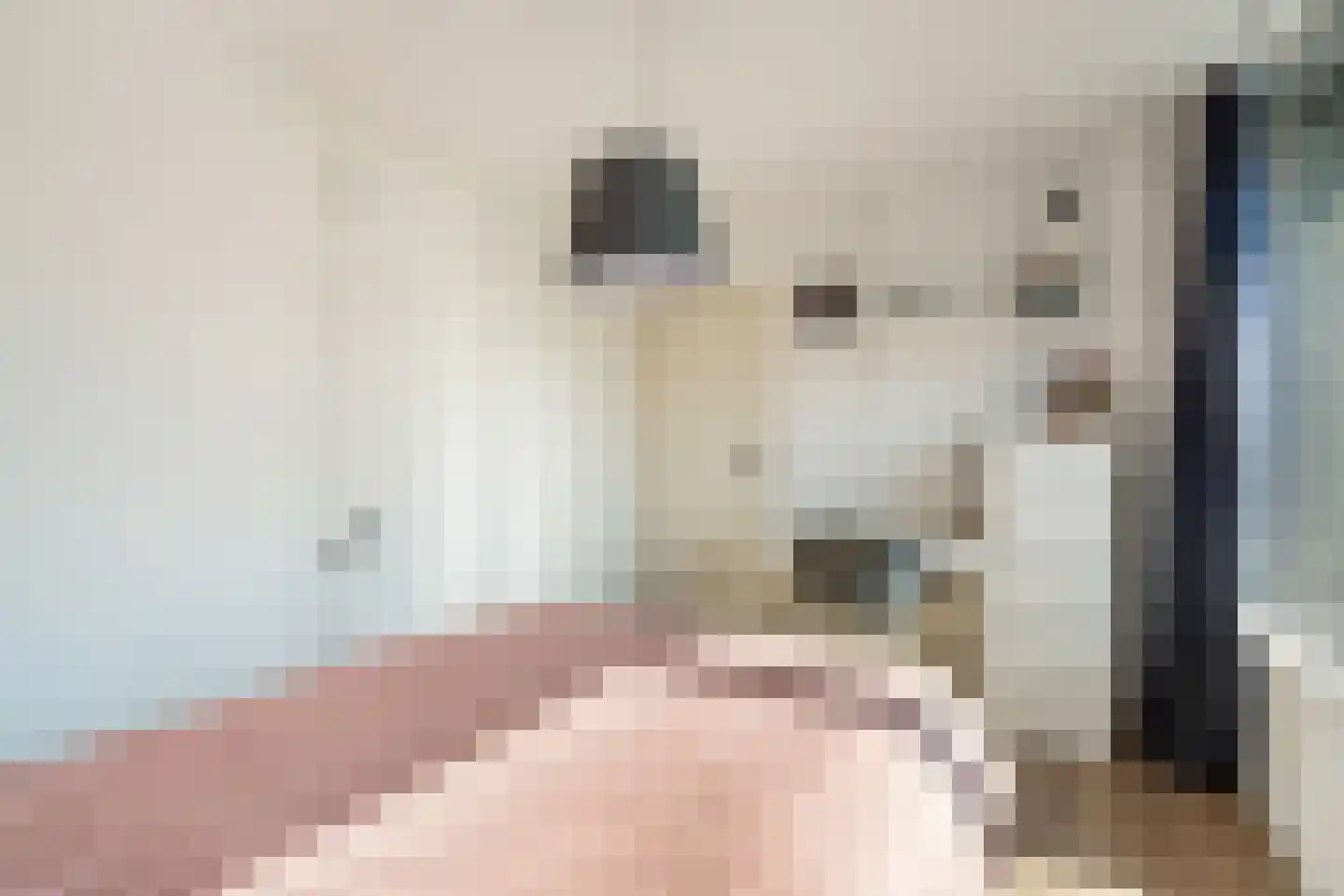 Kastanjelaan 25 Dordrecht thumbnail 37