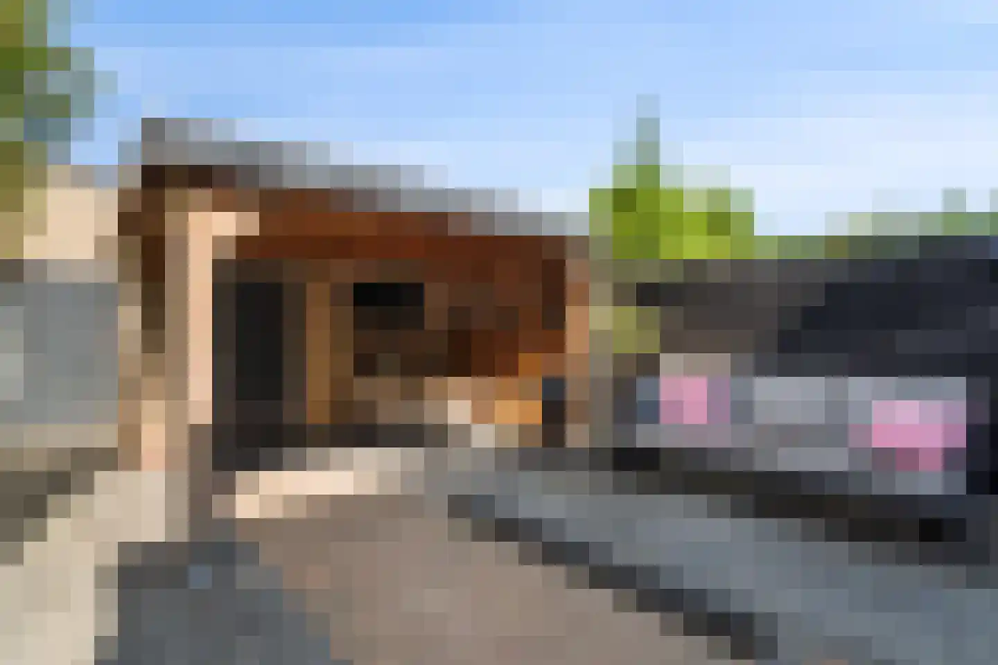 Kastanjelaan 25 Dordrecht thumbnail 47