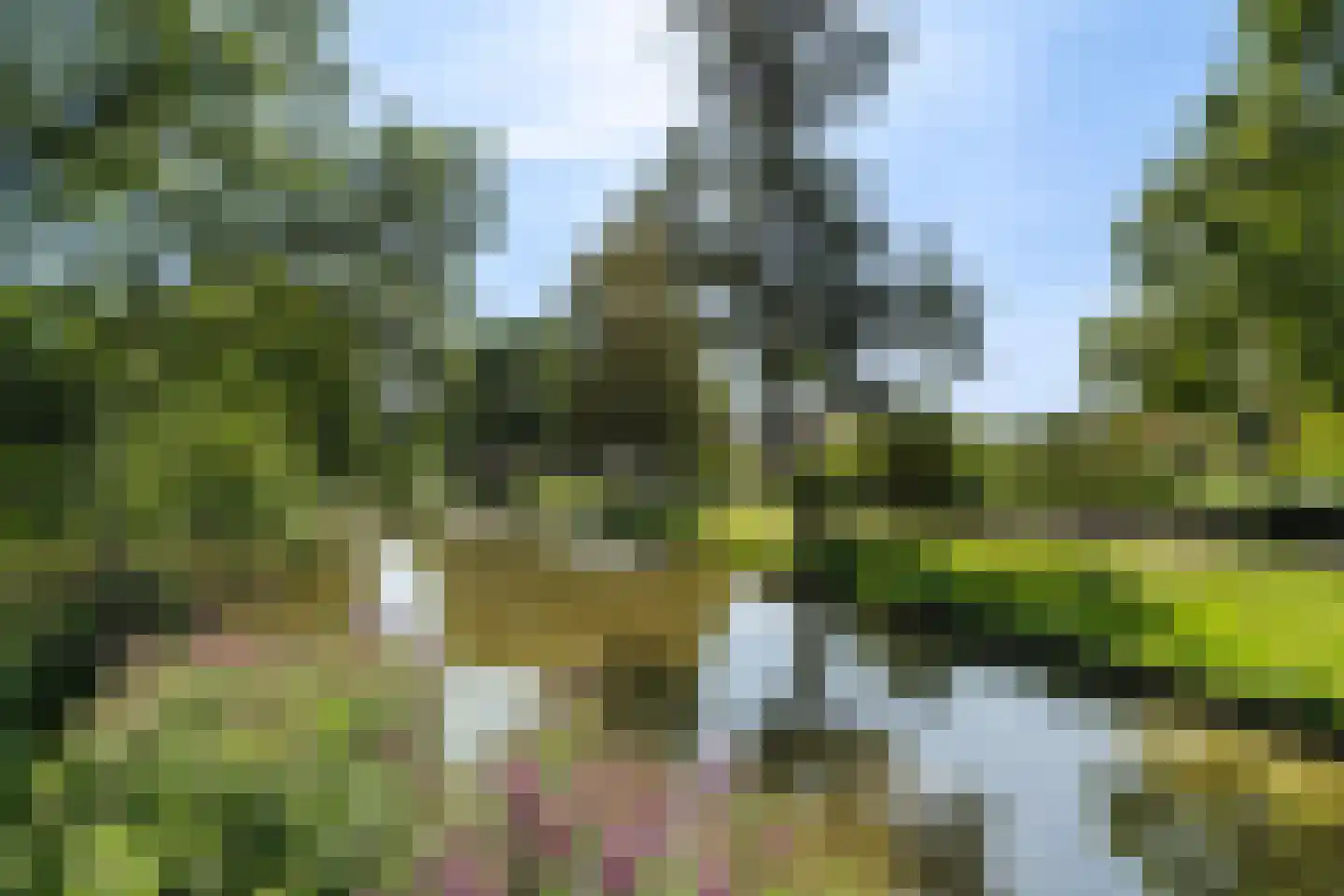 Kastanjelaan 25 Dordrecht thumbnail 57