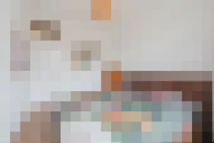Kastanjelaan 25 Rijswijk thumbnail 19