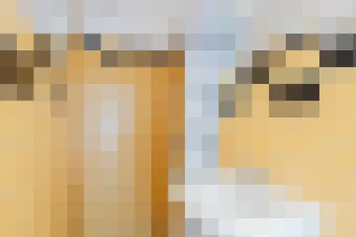 Kastanjelaan 25 Rijswijk thumbnail 23