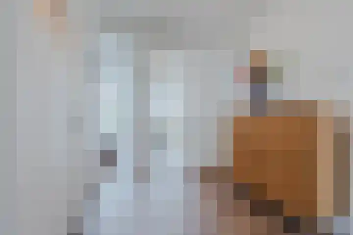 Kastanjelaan 25 Rijswijk thumbnail 24