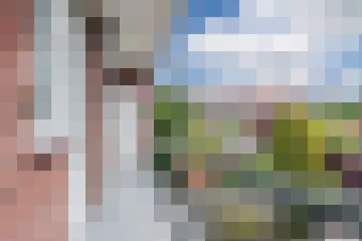 Kastanjelaan 25 Rijswijk thumbnail 25