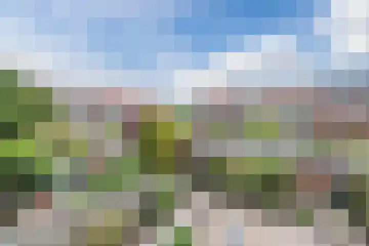 Kastanjelaan 25 Rijswijk thumbnail 26