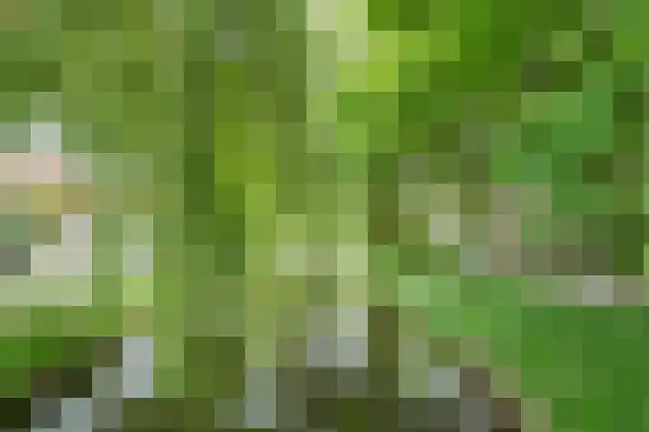 Kastanjelaan 25 Rijswijk thumbnail 27