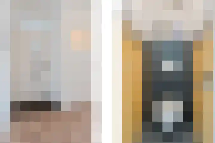 Kastanjelaan 25 Rijswijk thumbnail 9