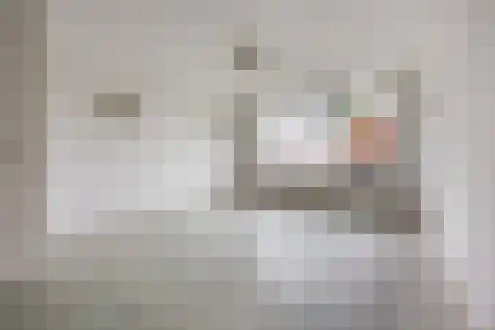 Kastanjelaan 256 Bergen op Zoom thumbnail 16