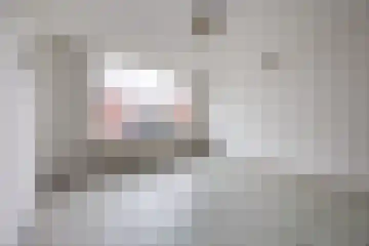 Kastanjelaan 256 Bergen op Zoom thumbnail 19