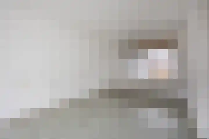 Kastanjelaan 256 Bergen op Zoom thumbnail 20