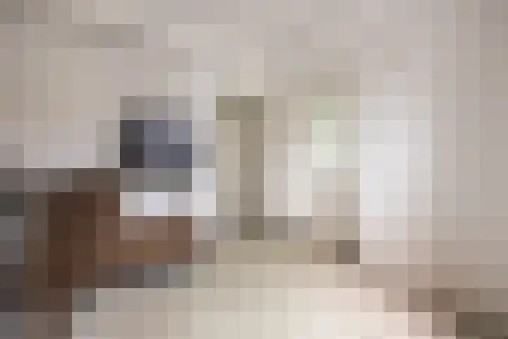 Kastanjelaan 256 Bergen op Zoom thumbnail 23